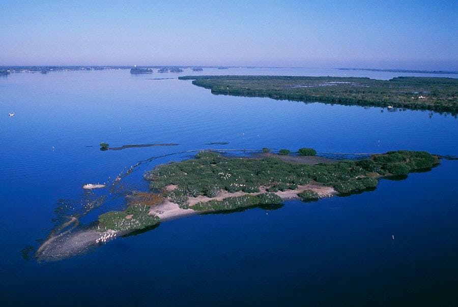 Pelican Island Paddle Tour