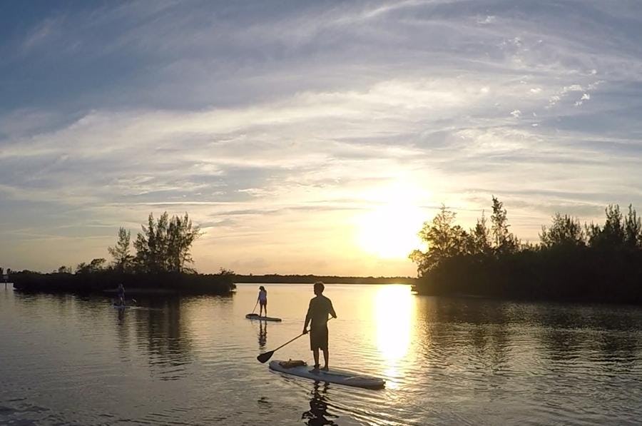 Sunset paddle board or kayak tour