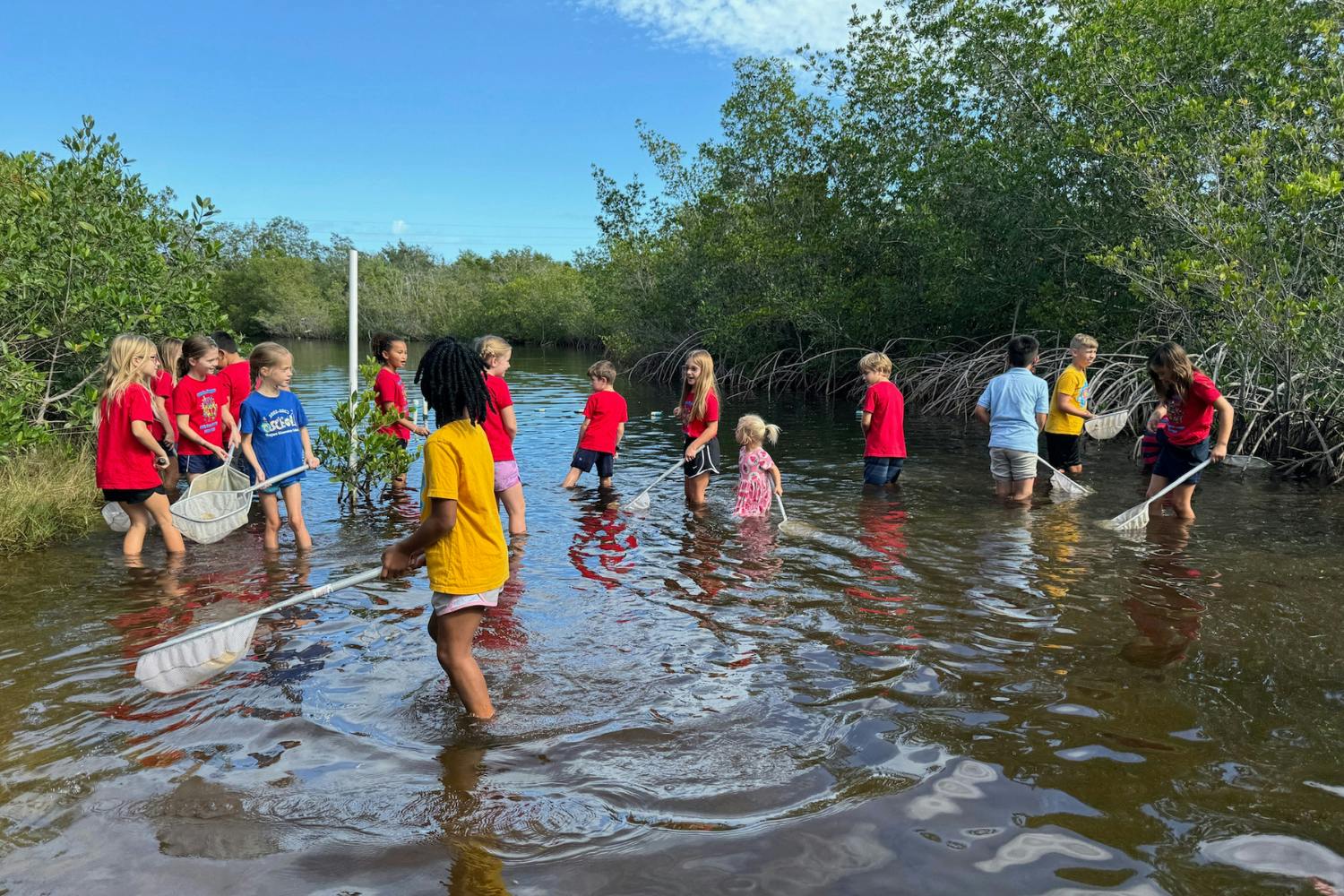 Children netting fish in river