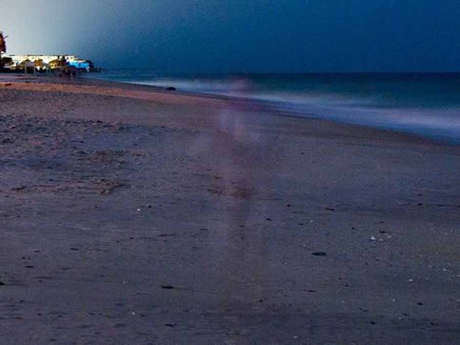 Photo of apparition taken on Vero's beach