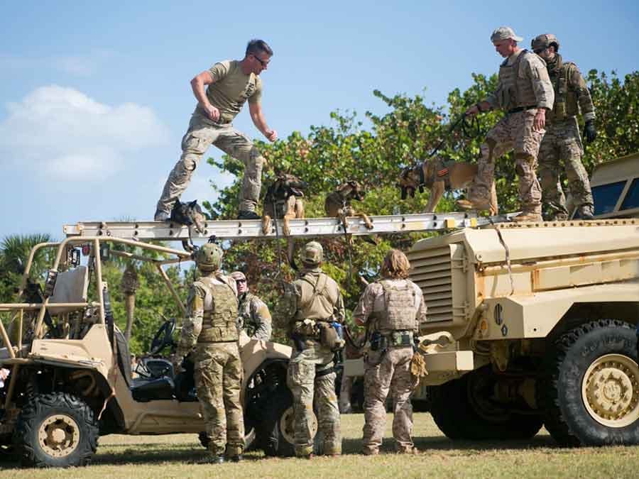 uniformed men demonstrating what dogs can do 
