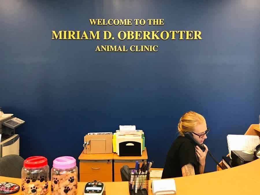 Employee on phone at front desk