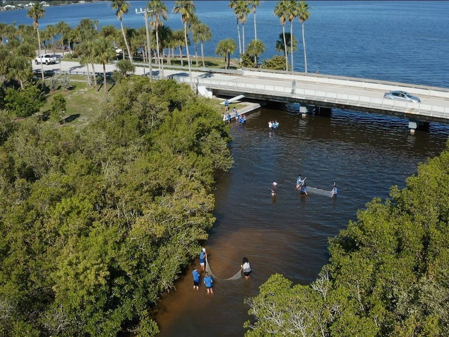 Student citizen scientists participating in ORCA's A Day