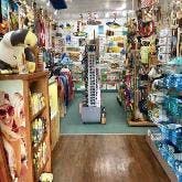 View of merchandise for sale in store 