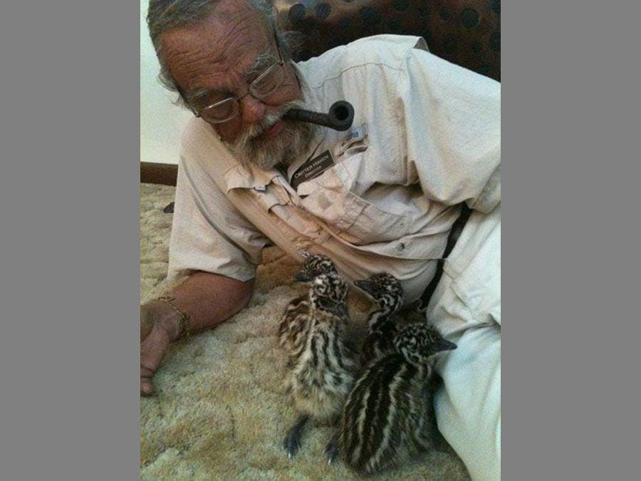 Owner Gary Brady with chicks