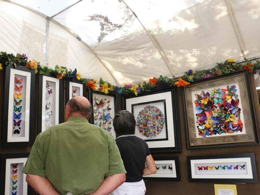 Couple looking at artwork at exhibit