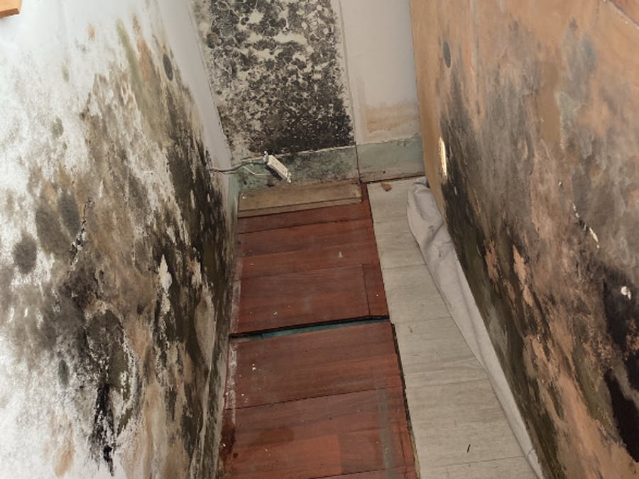 Moldy walls and floor