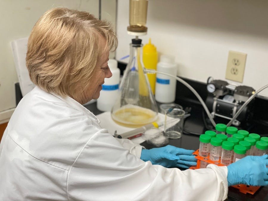 ORCA citizen scientist participating