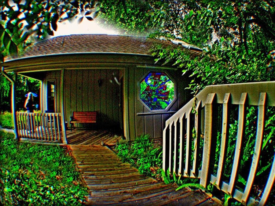 STOUTHOUSE Artist Retreat surrounded by vegetation 