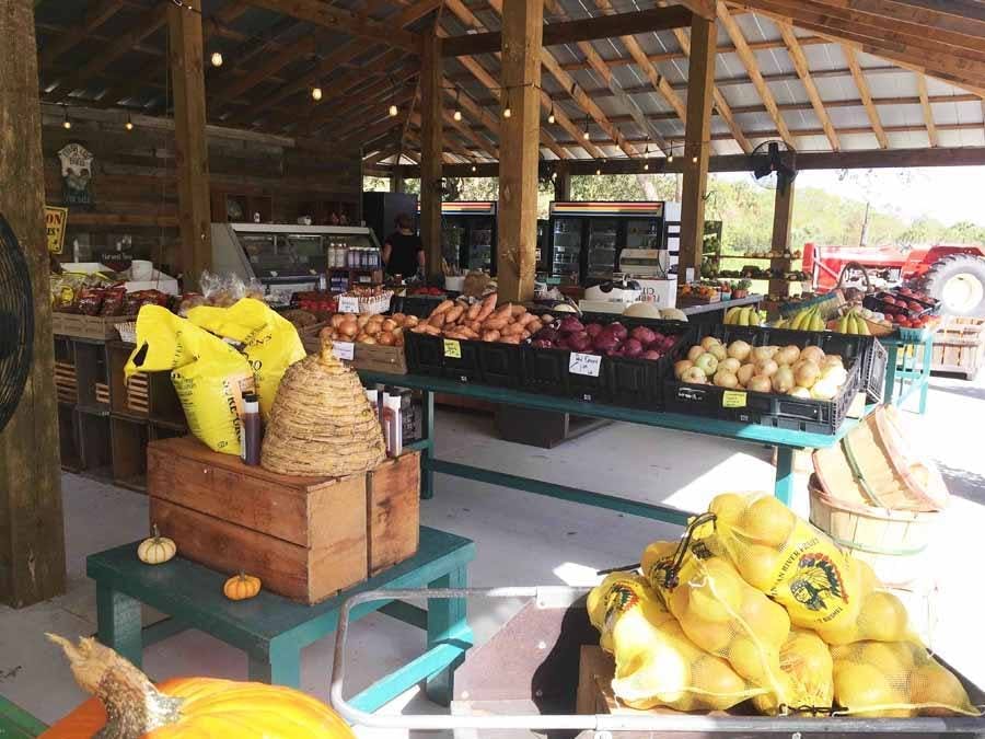 Locally grown produce stand vero beach florida