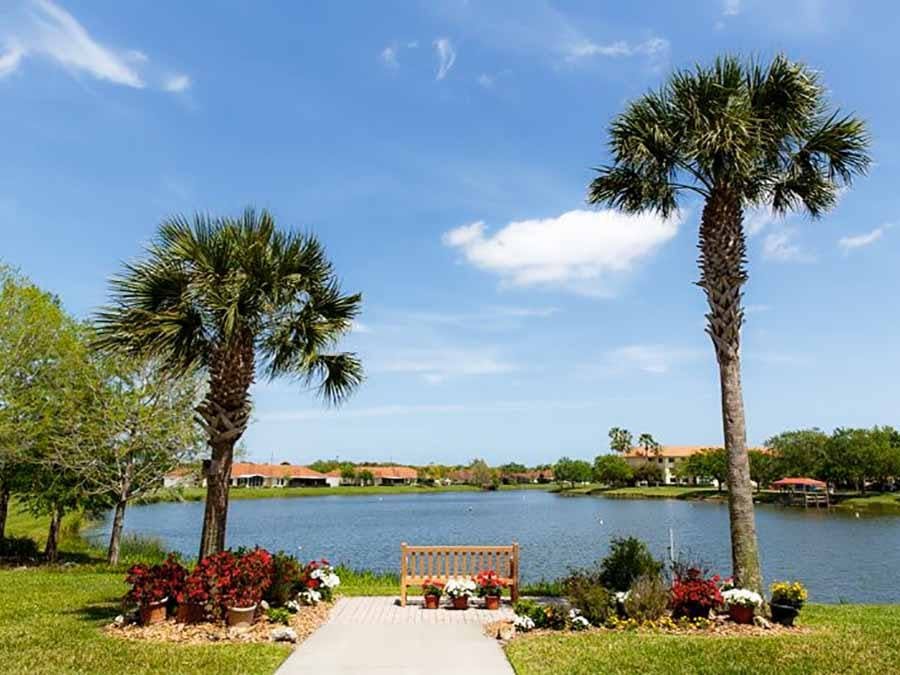 Bench on edge of pond