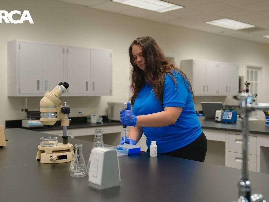 Staff member conducting lab analyses