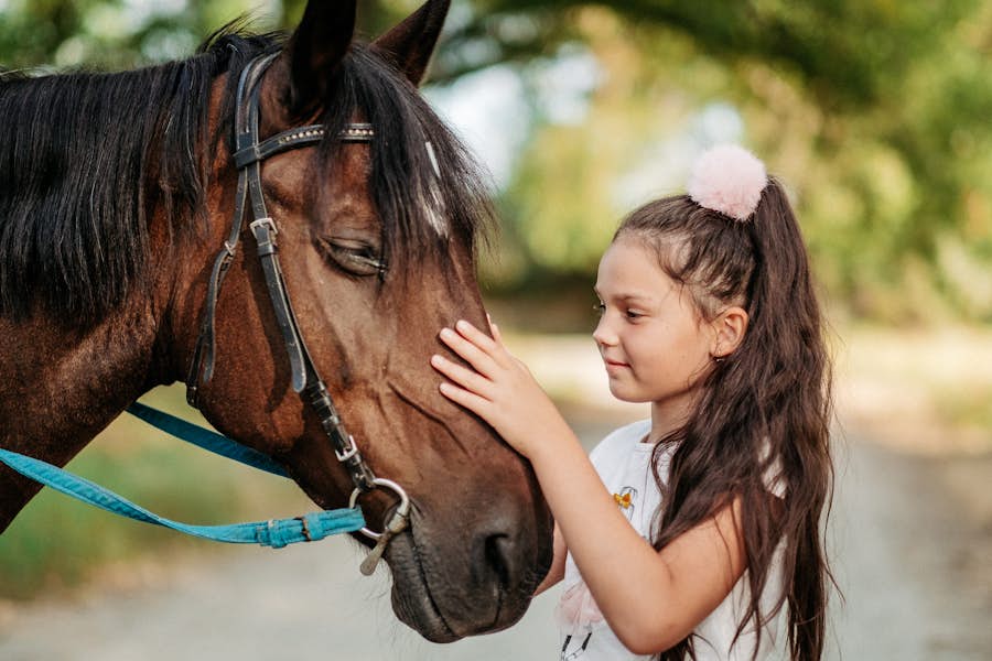 Equine Therapy Benefits Hibiscus Children Equine Therapy Benefits Hibiscus Children
